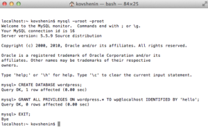 MySQL Terminal
