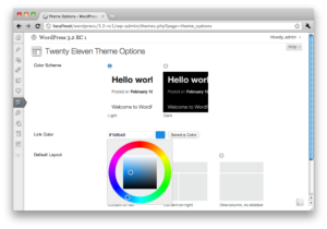 Default Theme Options