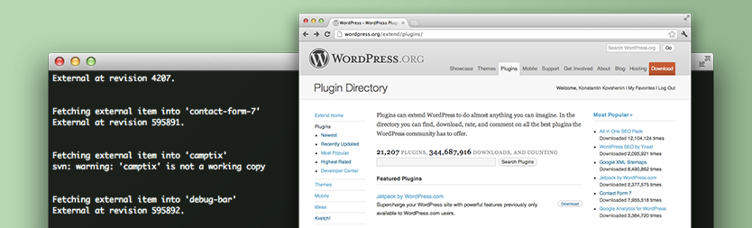 Subversion Externals for WordPress Projects Subversion Externals for WordPress Projects