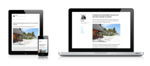 WordPress Theme Publish
