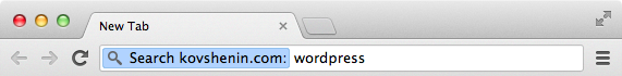 WordPress Search with Chrome