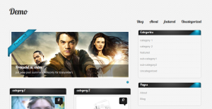 Amphion Lite for WordPress