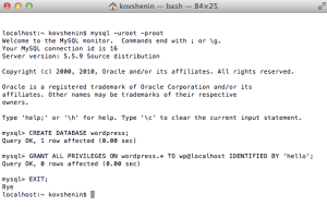 MySQL Terminal