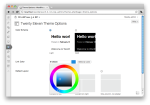 Default Theme Options