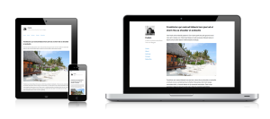 WordPress Theme Publish